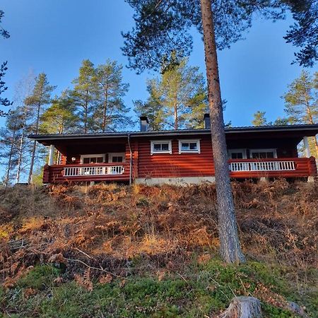 Pankkotupa 65 "13А" Villa Nyslott Eksteriør bilde